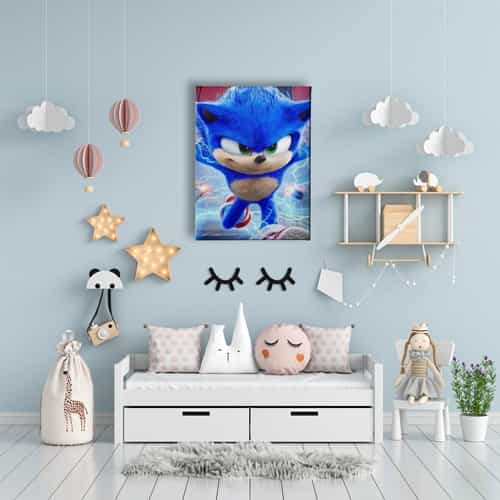 Sonic Boom Cocuk Kanvas Tablo