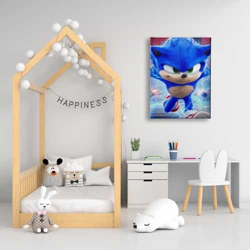 Sonic Boom Cocuk Kanvas Tablo