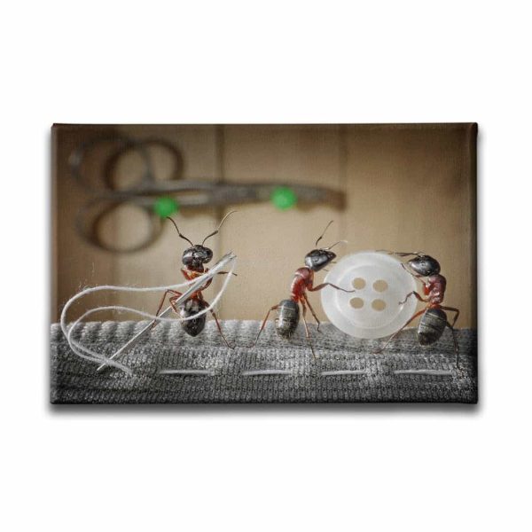 9473_1 Penguen Kanvas Tablo