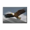 9486_1 Tavus Kusu Kanvas Tablo
