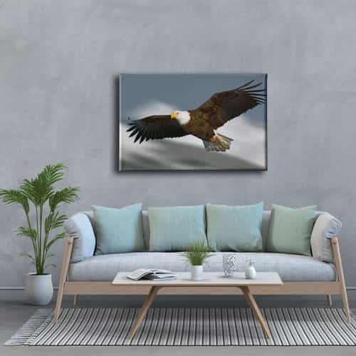 9486_3 Tavus Kusu Kanvas Tablo
