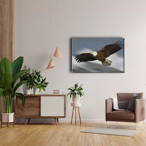 9486_4 Tavus Kusu Kanvas Tablo