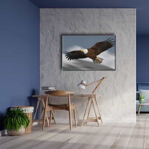9486_5 Tavus Kusu Kanvas Tablo