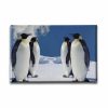 9493_1 Penguen Kanvas Tablo