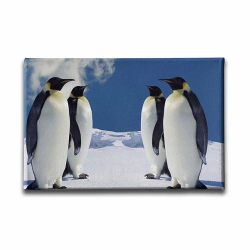 Penguen Kanvas Tablo