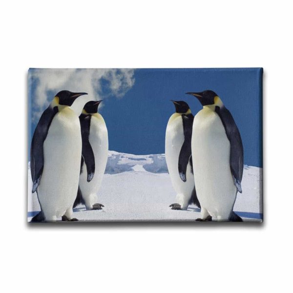 9493_1 Penguen Kanvas Tablo