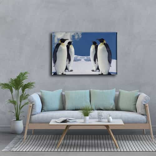 9493_3 Penguen Kanvas Tablo