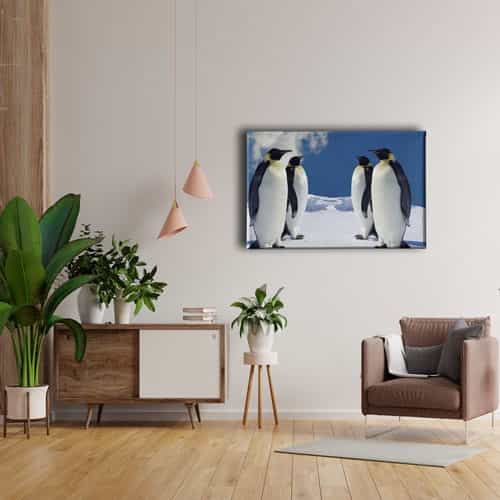 9493_4 Penguen Kanvas Tablo