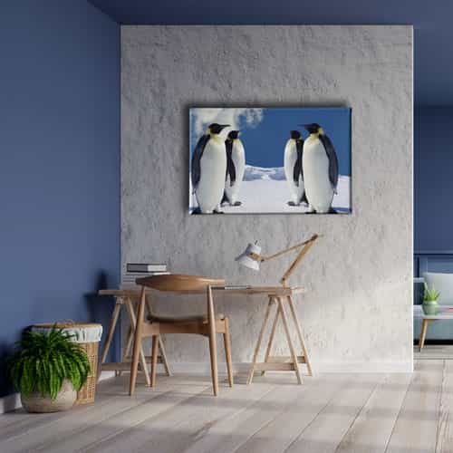 9493_5 Penguen Kanvas Tablo
