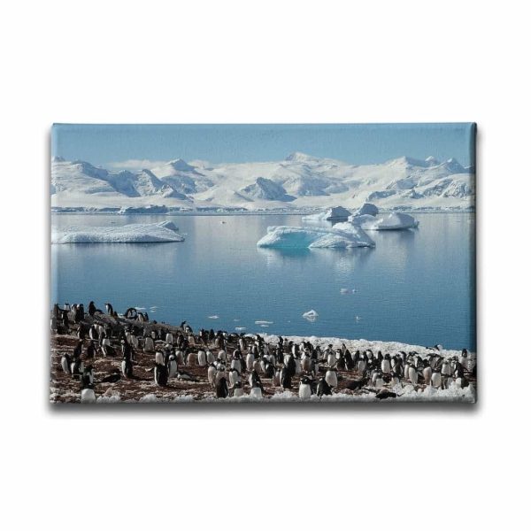 9501_1 Penguen Kanvas Tablo