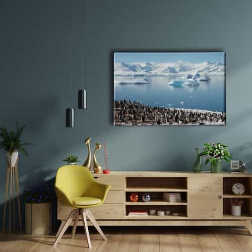 9501_2 Penguen Kanvas Tablo