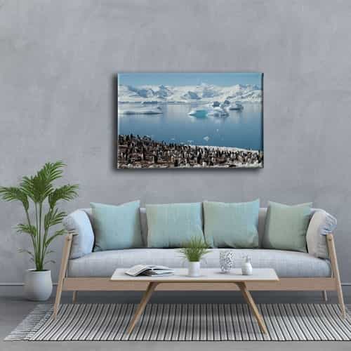 9501_3 Penguen Kanvas Tablo