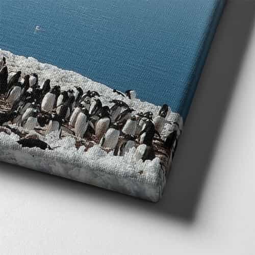 9501_6 Penguen Kanvas Tablo