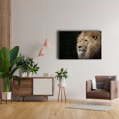 Aslan Kanvas Tablo