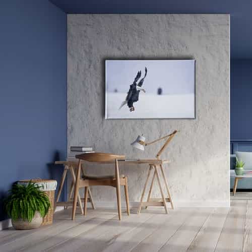 9529_2 Kartal Kanvas Tablo
