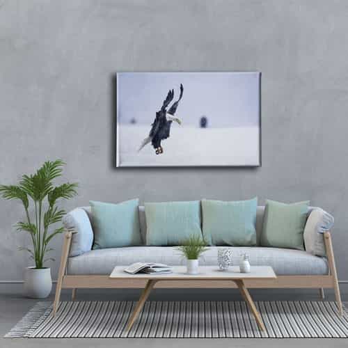 9529_5 Kartal Kanvas Tablo