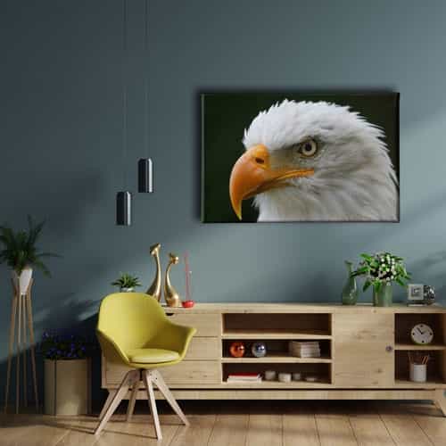 Kartal Kanvas Tablo