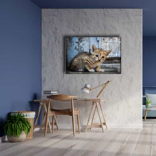 Yavru Kedi Kanvas Tablo