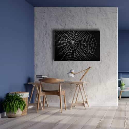 9790_5 Orumcek Agi Canvas Tablo