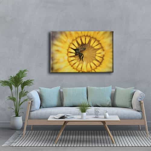 Cicek Ve Bal Arisi  Canvas Tablo