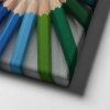 Renk Kusagi  Canvas Tablo